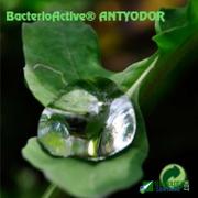 BacterioActive ANTYODOR