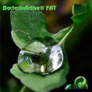 BacterioActive FAT